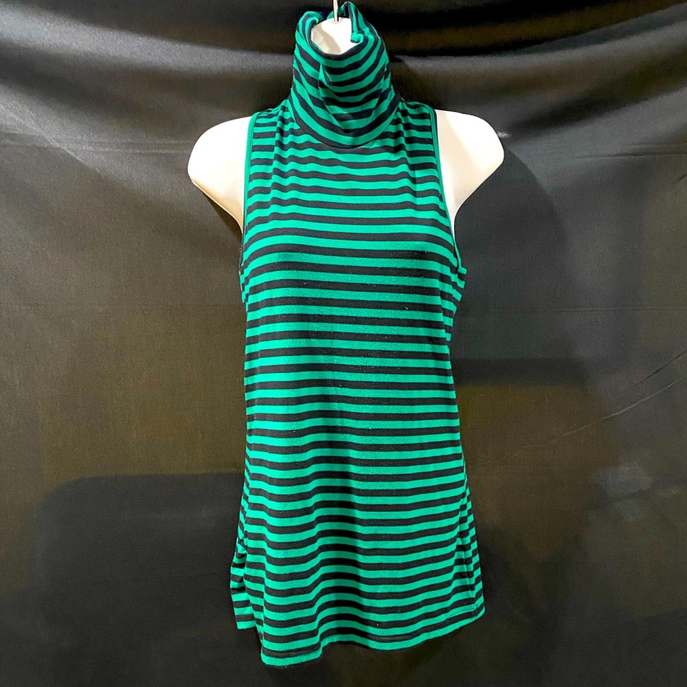 Striped Turtleneck Tunic